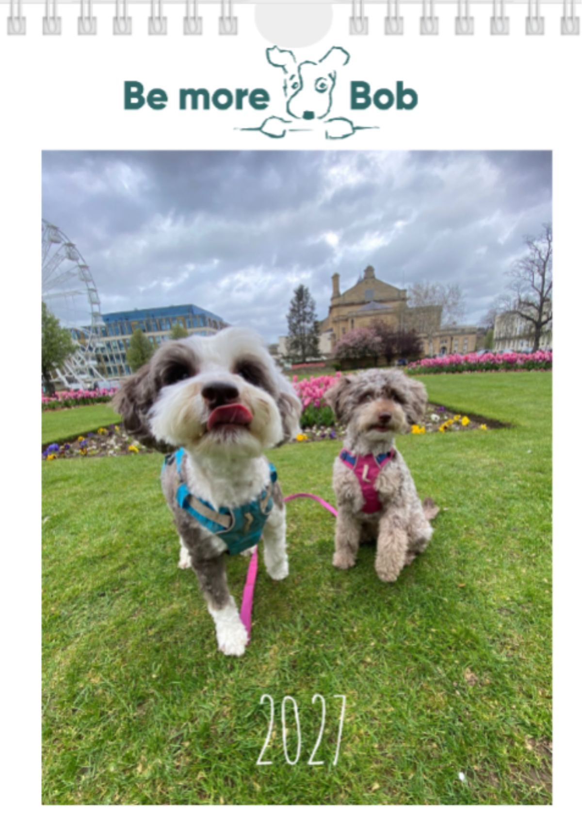 2027 Be More Bob Mini Wall Calendar -  PRE ORDER