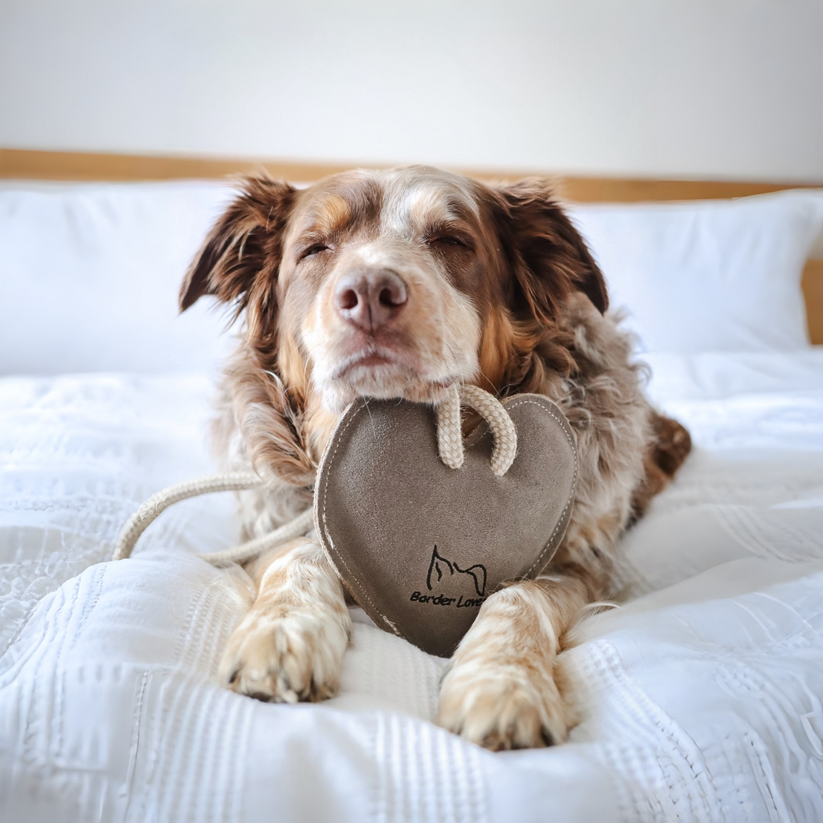 Eco Suede Heart on a Rope