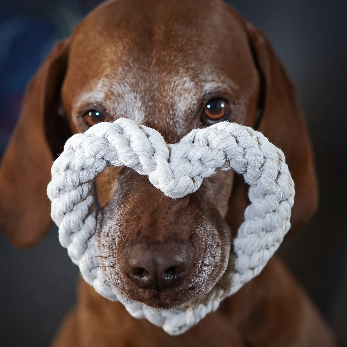 Cotton Heart Rope