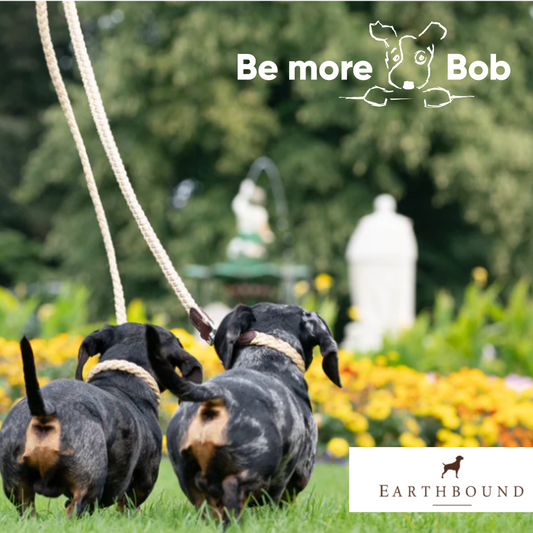 Earthbound Braided Leash - Beige