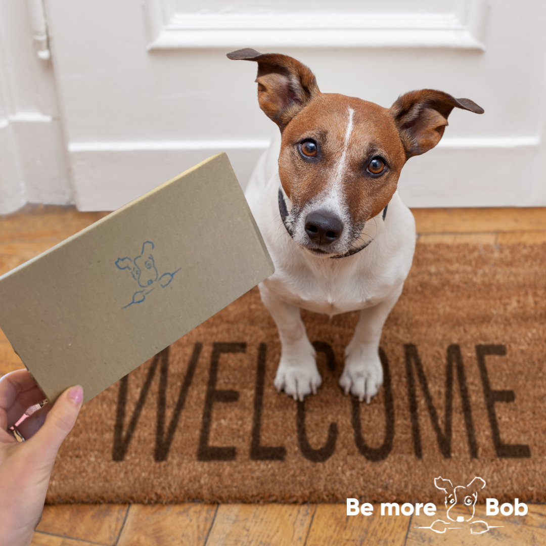 Bob Post - send a pal a treat!