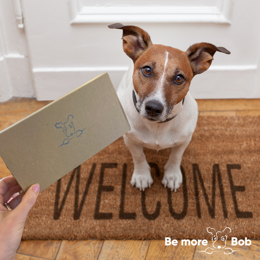 Bob Post - send a pal a treat!