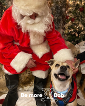 Load image into Gallery viewer, Santa Paws Grotto!