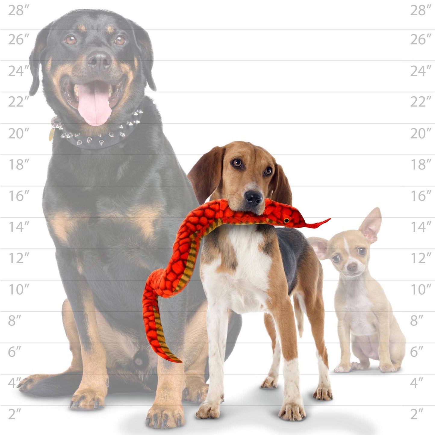 Tuffy Desert Snake - Red, Durable, Tough, Squeaky Dog Toy