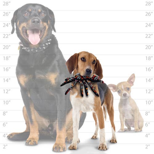 Desert Tarantula, Tough, Durable Dog Toy | Tuffy