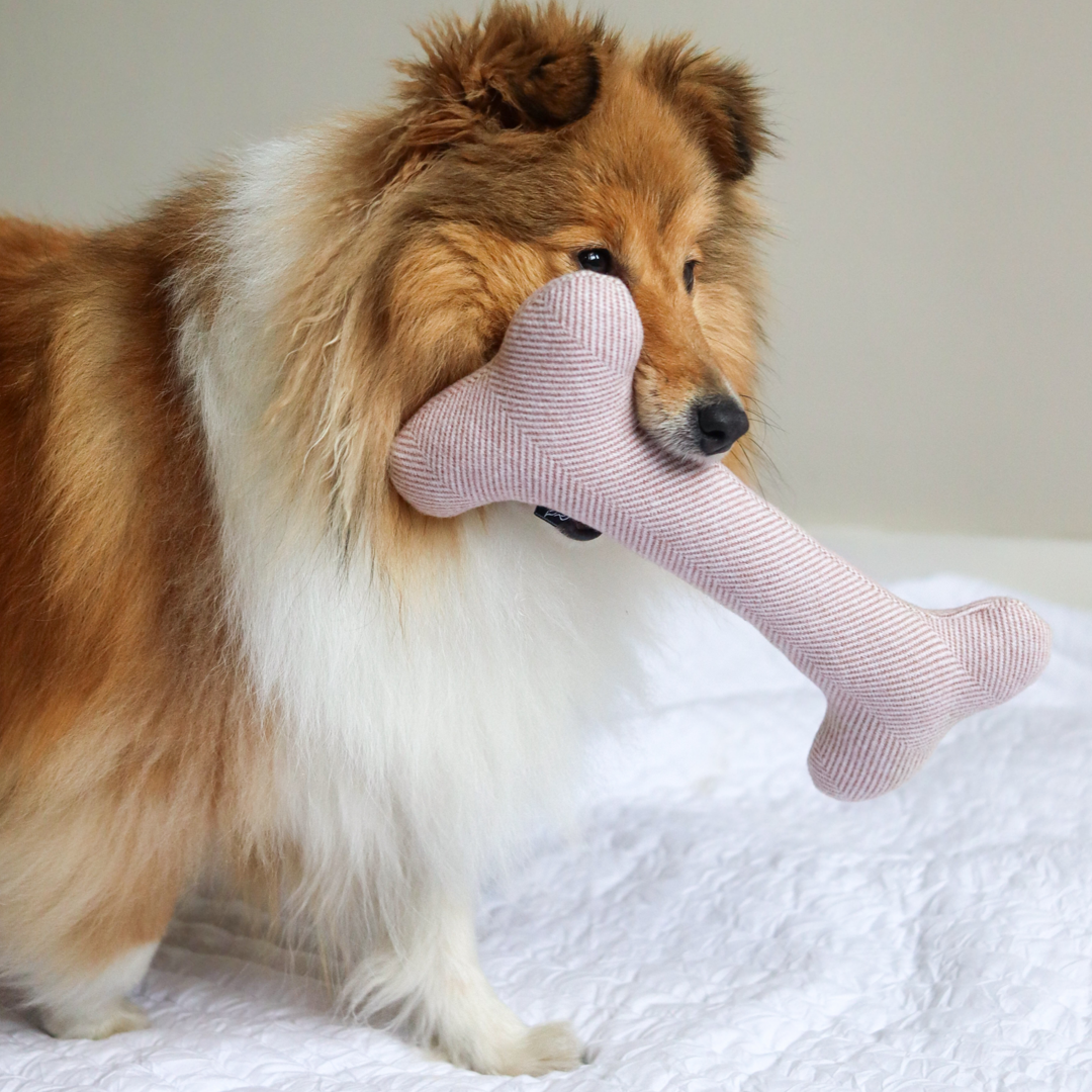 Wool Bone