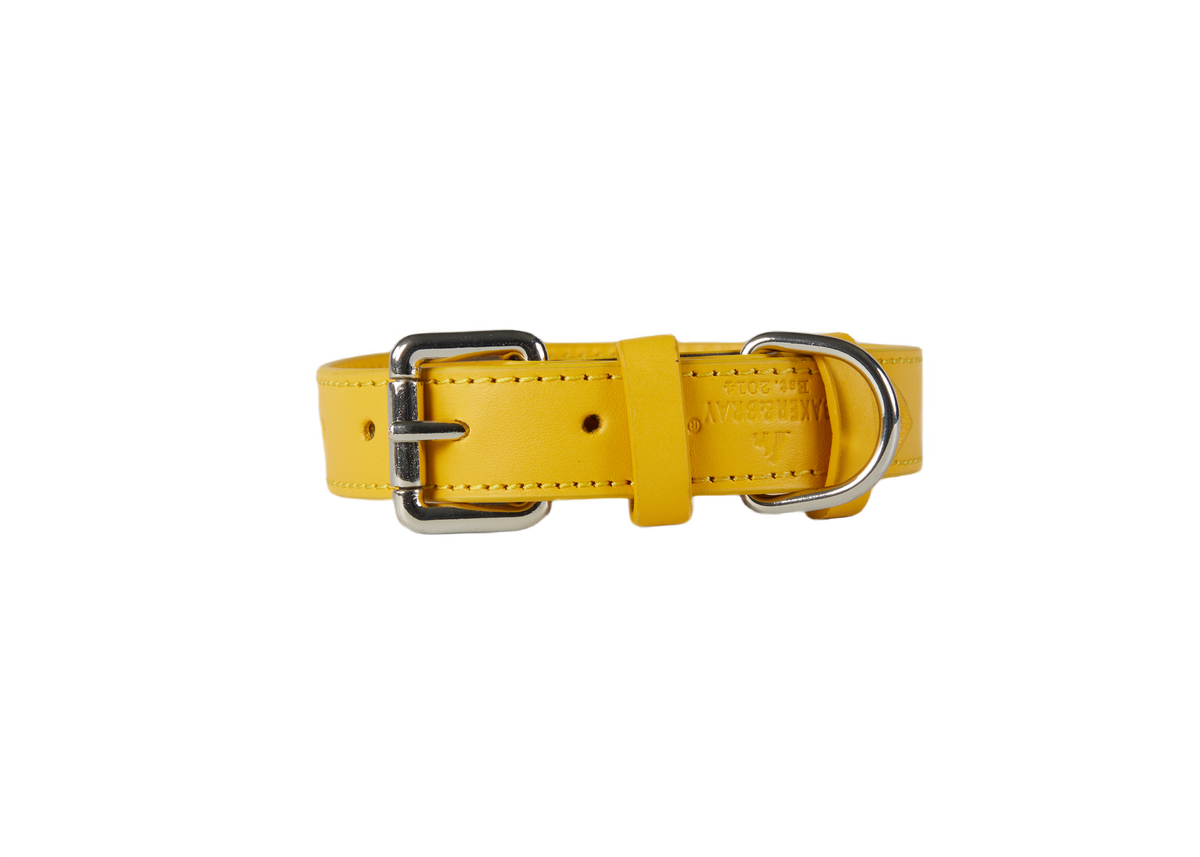 Eco Friendly Leather Dog Collar, Lemon