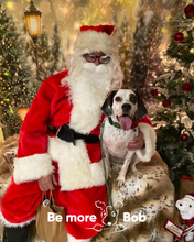 Load image into Gallery viewer, Santa Paws Grotto!