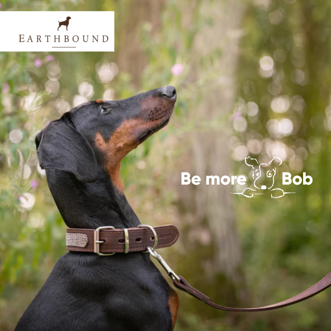 Earthbound Tweed Leather Collar - Beige