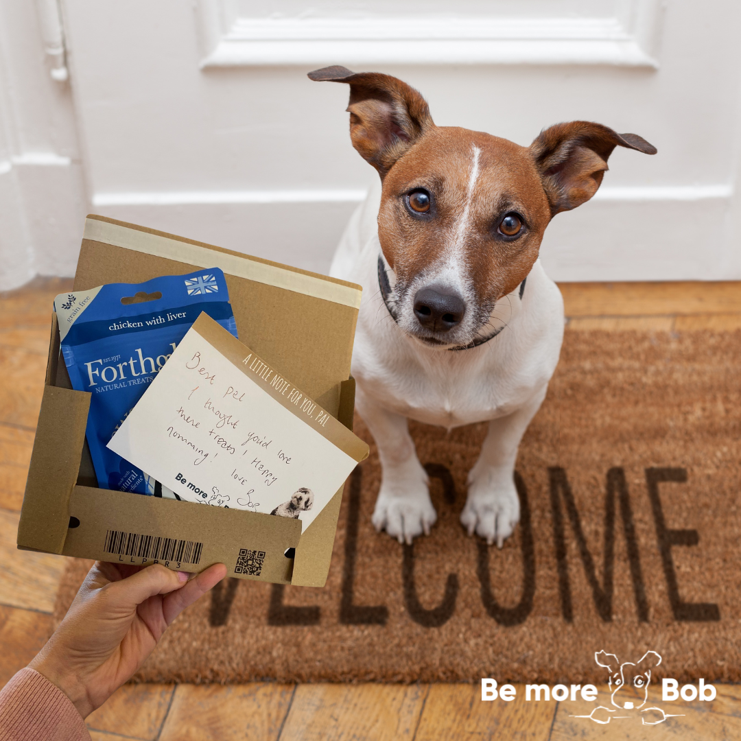 Bob Post - send a pal a treat!