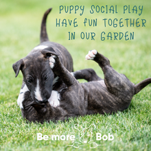 Load image into Gallery viewer, Puppy Social Play