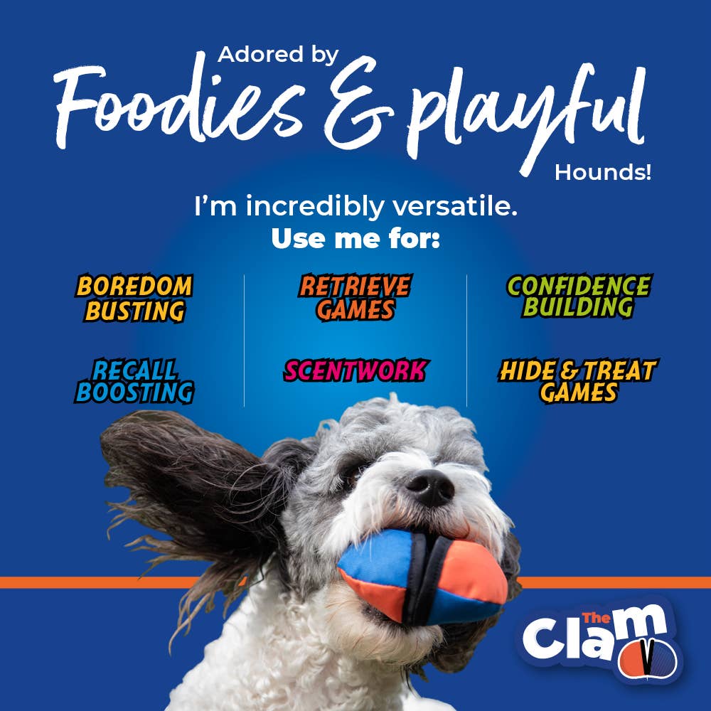 The Clam - Treat dispensing training toy: Orange & Blue