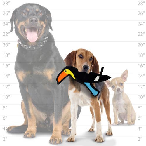 Tuffy Jr Zoo Toucan, Durable, Squeaky Dog Toy