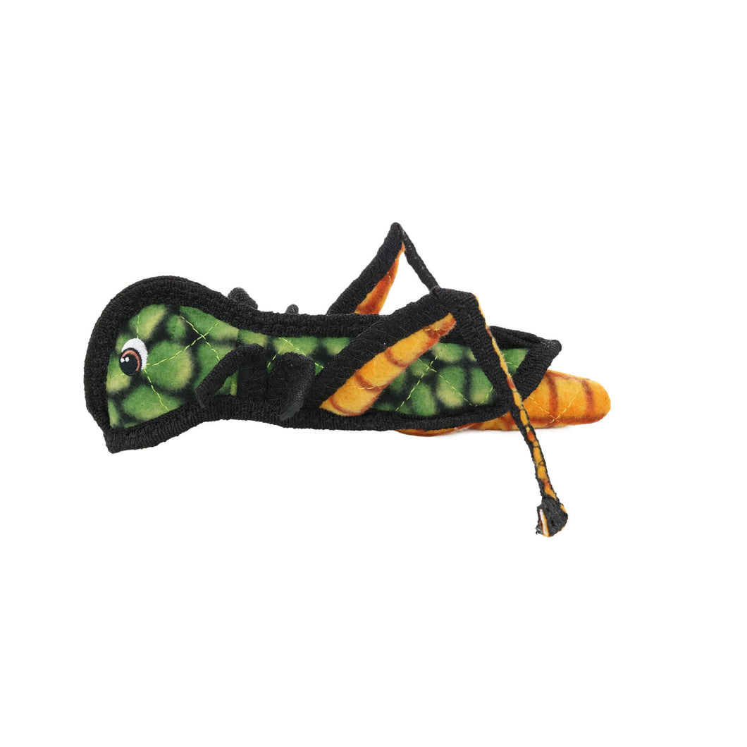 Tuffy Bug Grasshopper, Durable, Tough Dog Toy