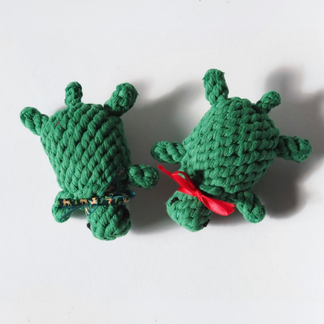 Little Green Turtle