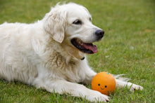 Load image into Gallery viewer, Foodie Faces Latex Orange Squeaker