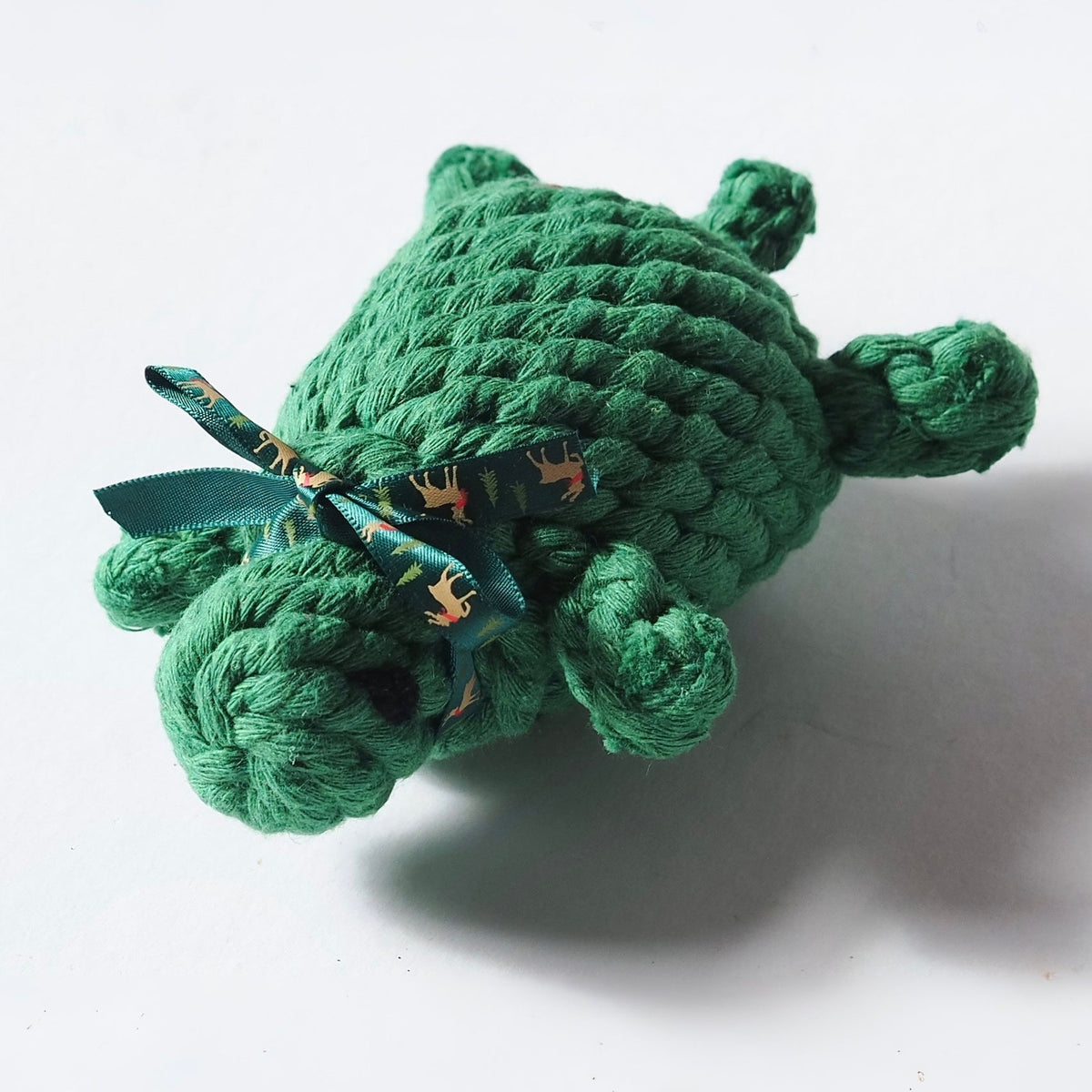 Little Green Turtle