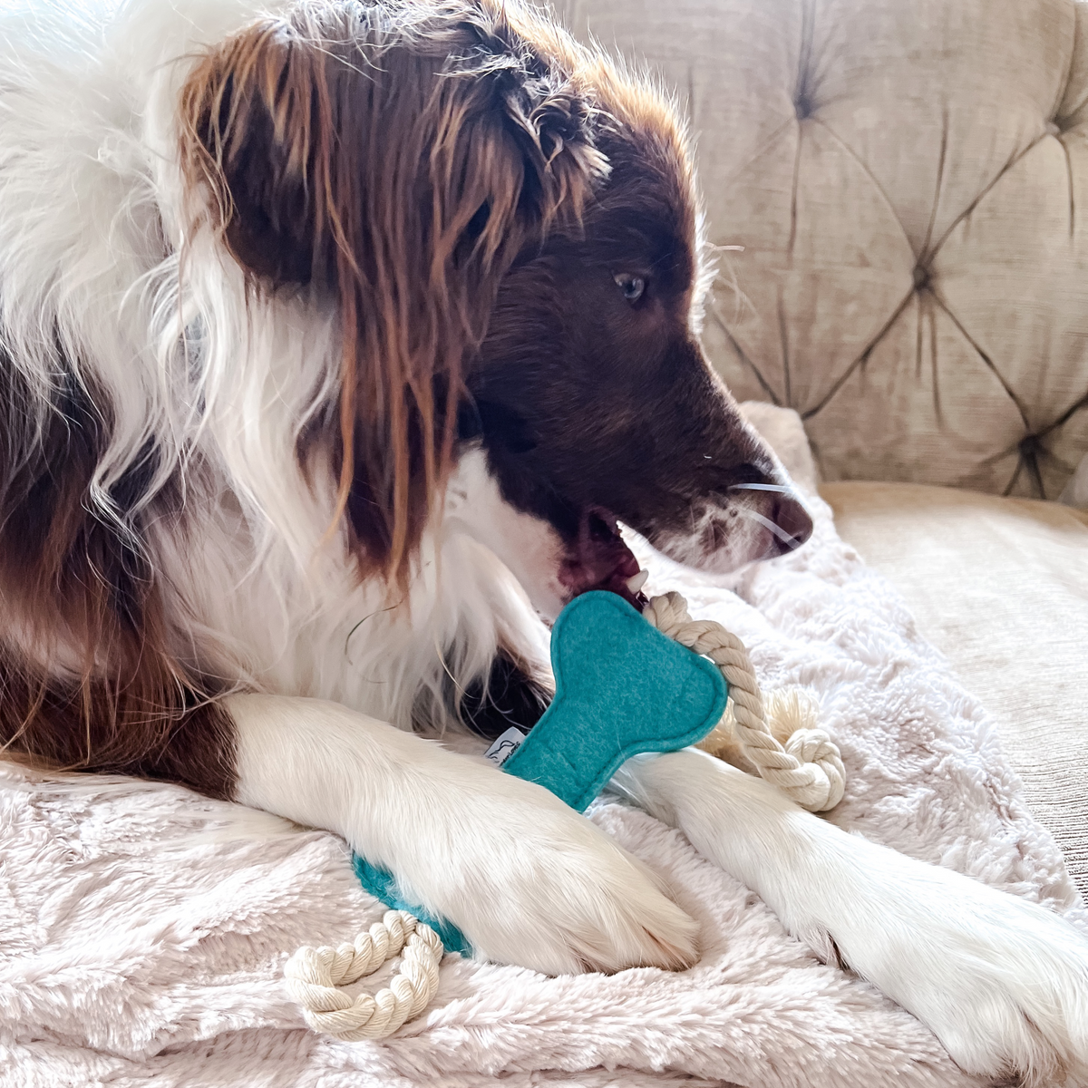 Felt Rope Toy