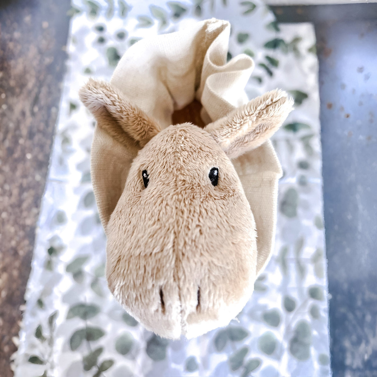 Cyril Camel