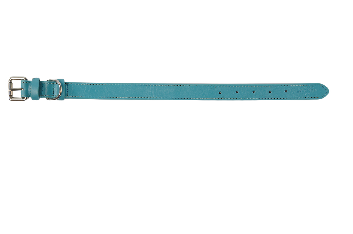 Eco Friendly Leather Dog Collar, Lagoon