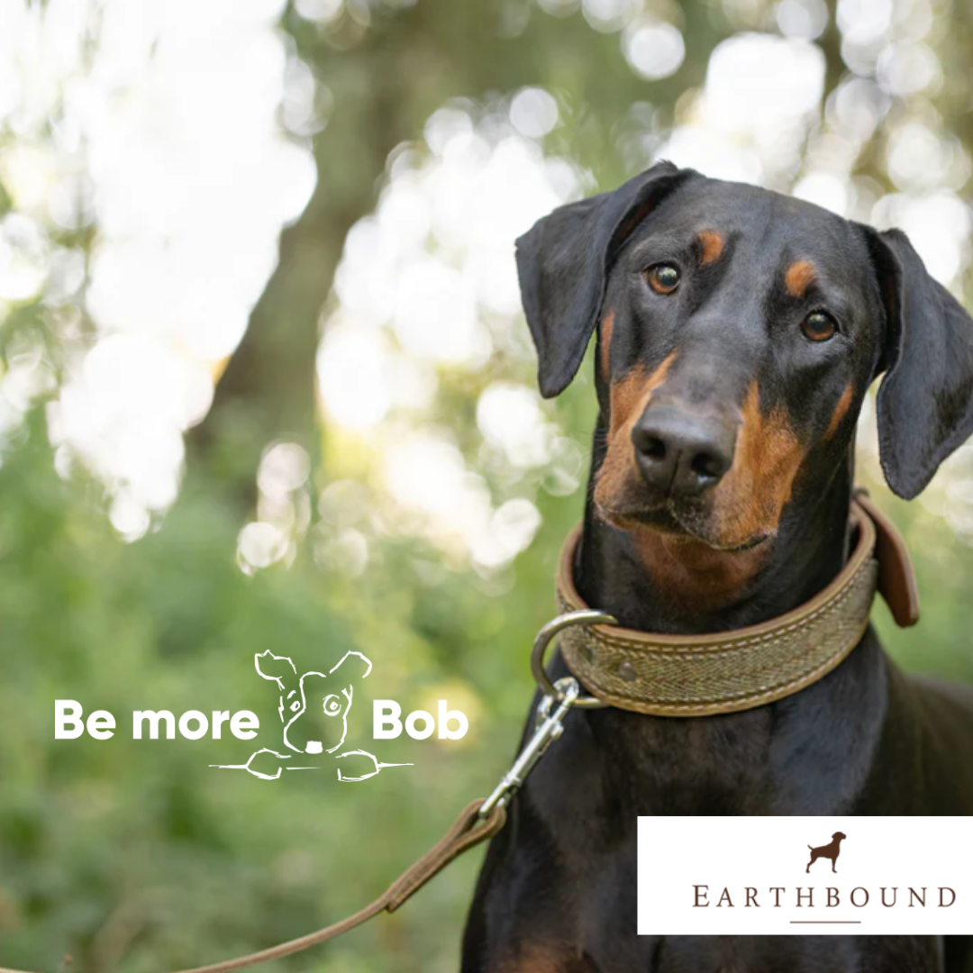 Earthbound Tweed Leather Collar - Green