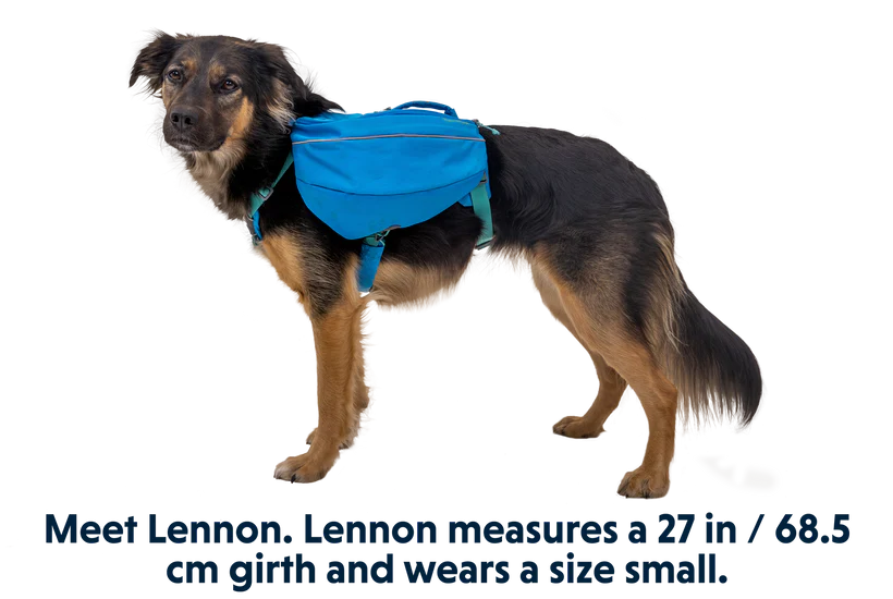 Ruffwear Approach Dog Backpack