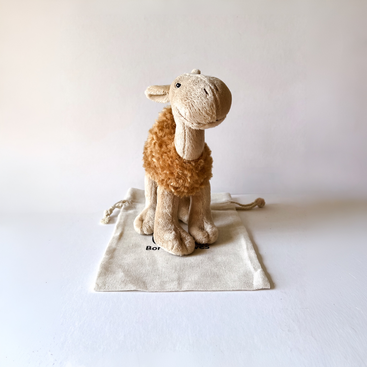 Cyril Camel