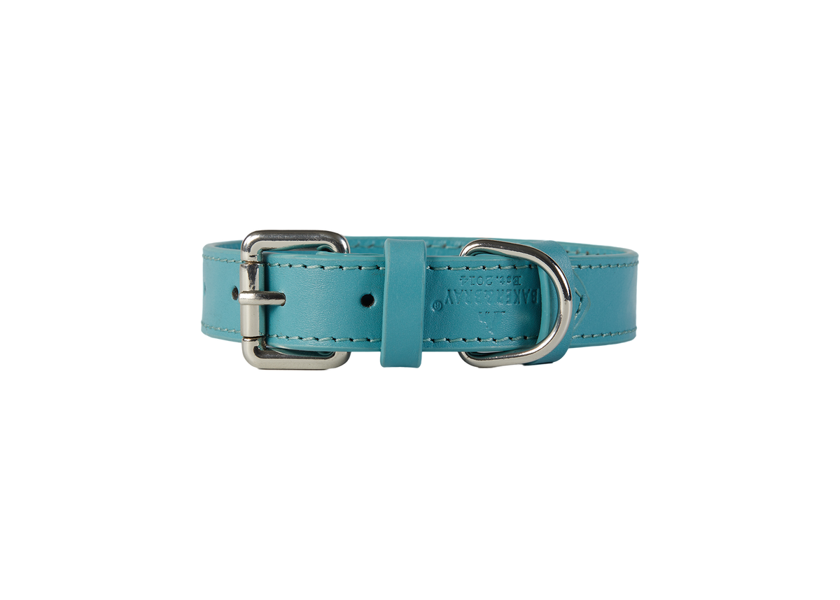Eco Friendly Leather Dog Collar, Lagoon