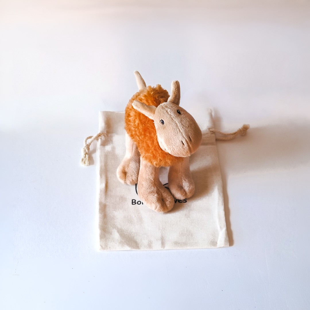 Cyril Camel