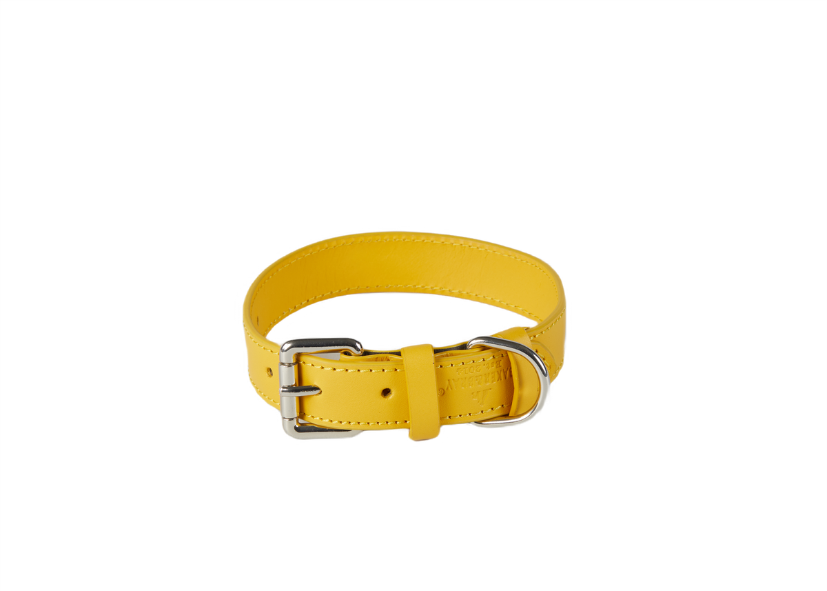 Eco Friendly Leather Dog Collar, Lemon
