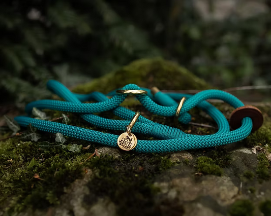 Handmade Slip Leads | Brass Fittings | Soft Rope
