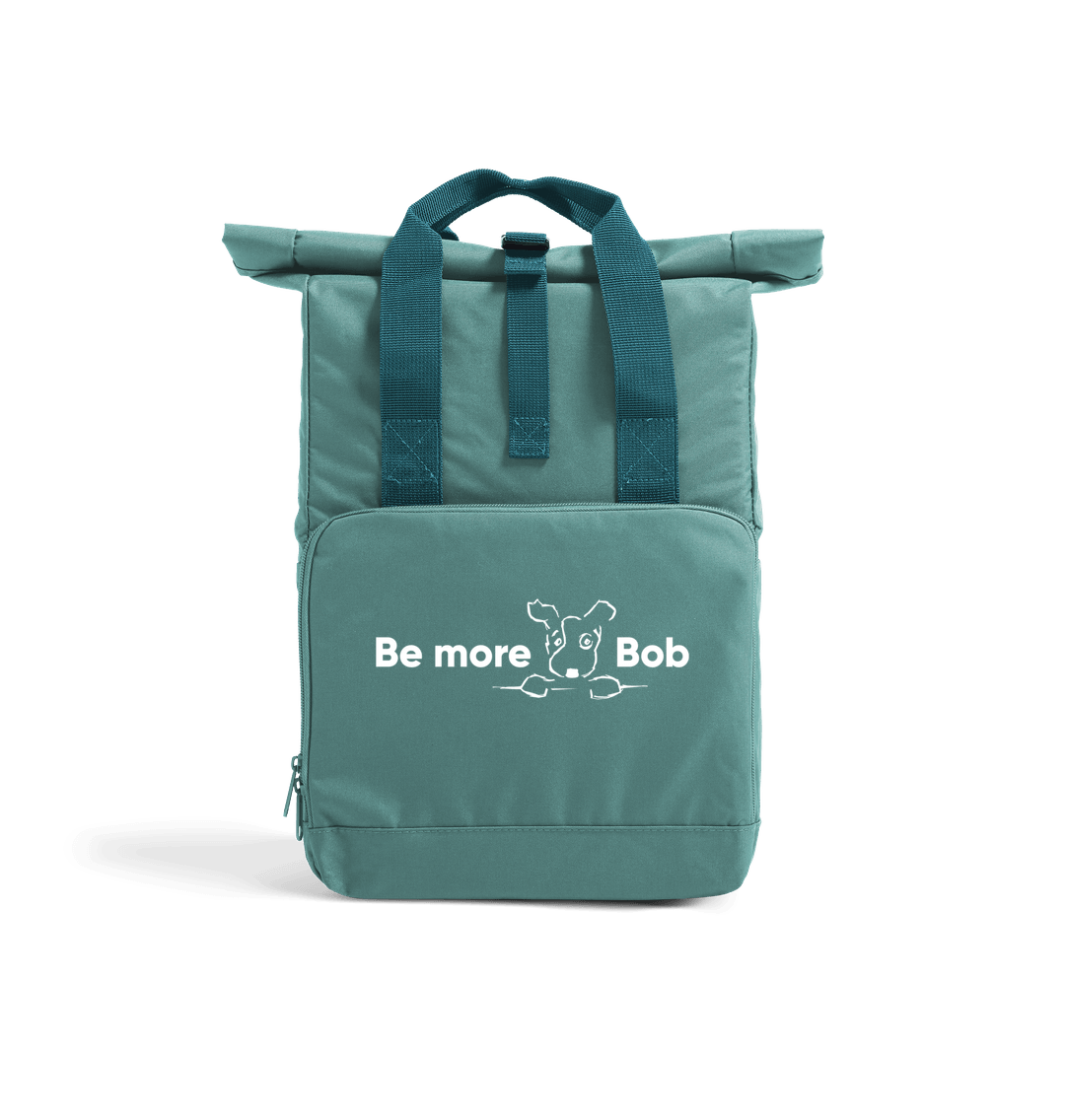 Sage Green Bag