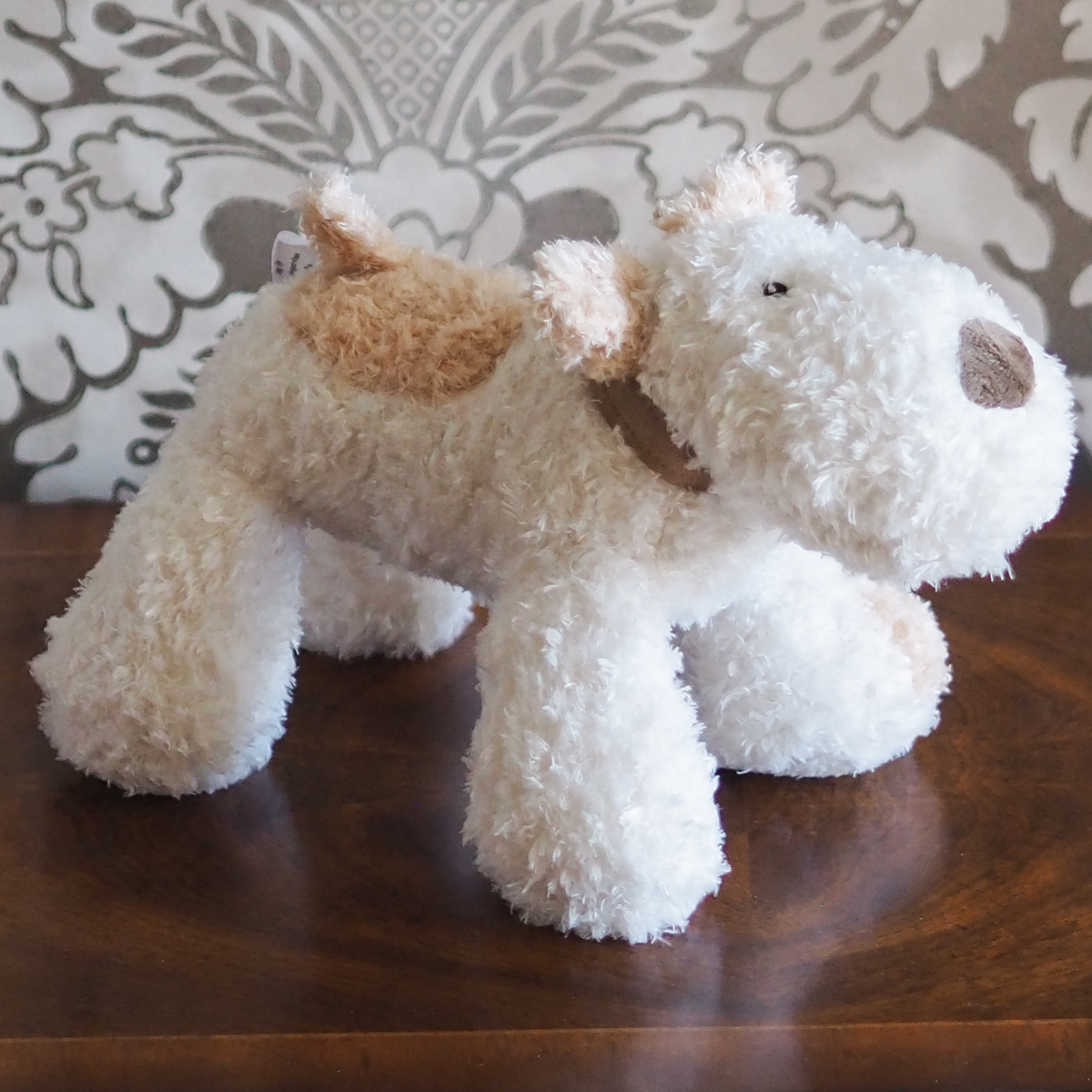 Bingley Dog