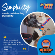 Load image into Gallery viewer, PowerBall Bungee Tug | Dog Ball Toys | Tug-E-Nuff: Orange Pattern