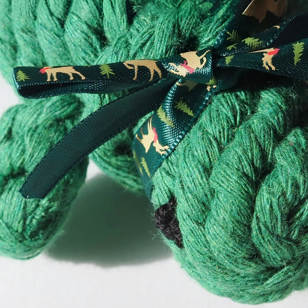 Little Green Turtle