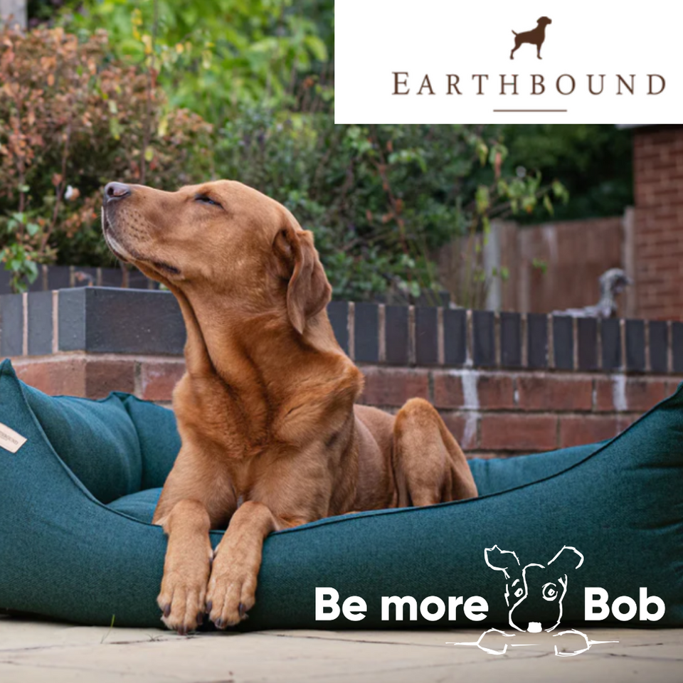 A pet shop for amazing dogs providing the best brands inc Ruffwear