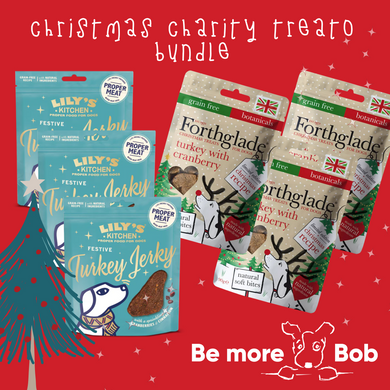 Charity Christmas Treato Bundle