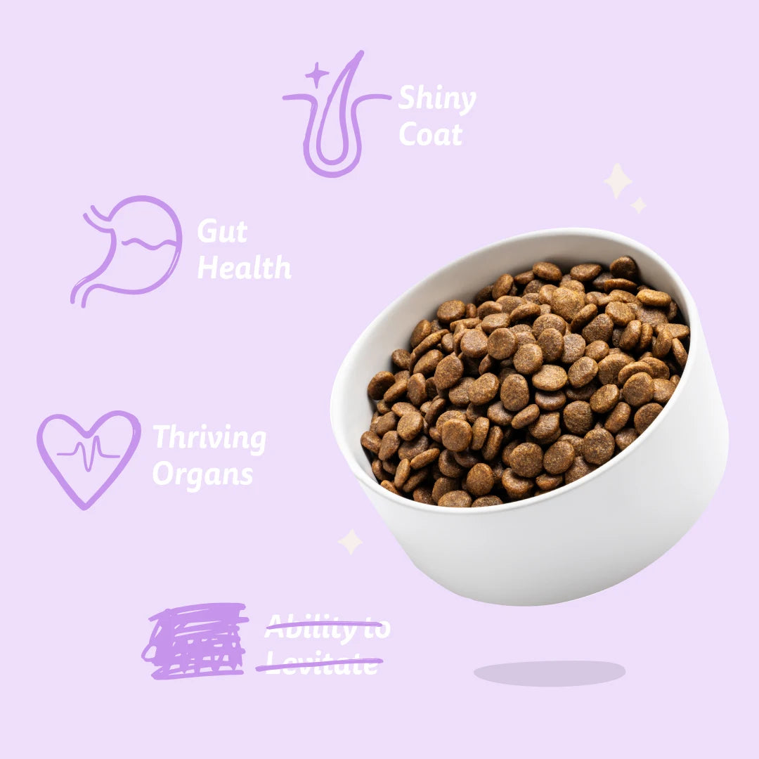 Hypoallergenic Dry Dog Food - Fresh Duck - Edgard Cooper