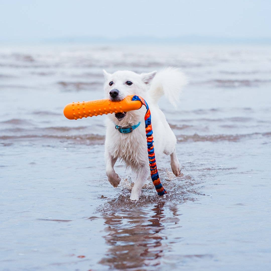 Tug-E-Nuff | BOB: The 3-in-1 Dummy | Fetch, tug, & float: Orange Splash