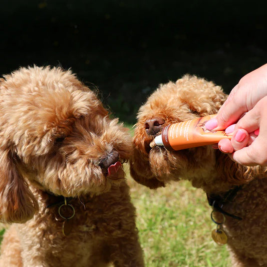 Natural Poultry Meat Paste - JR Pet
