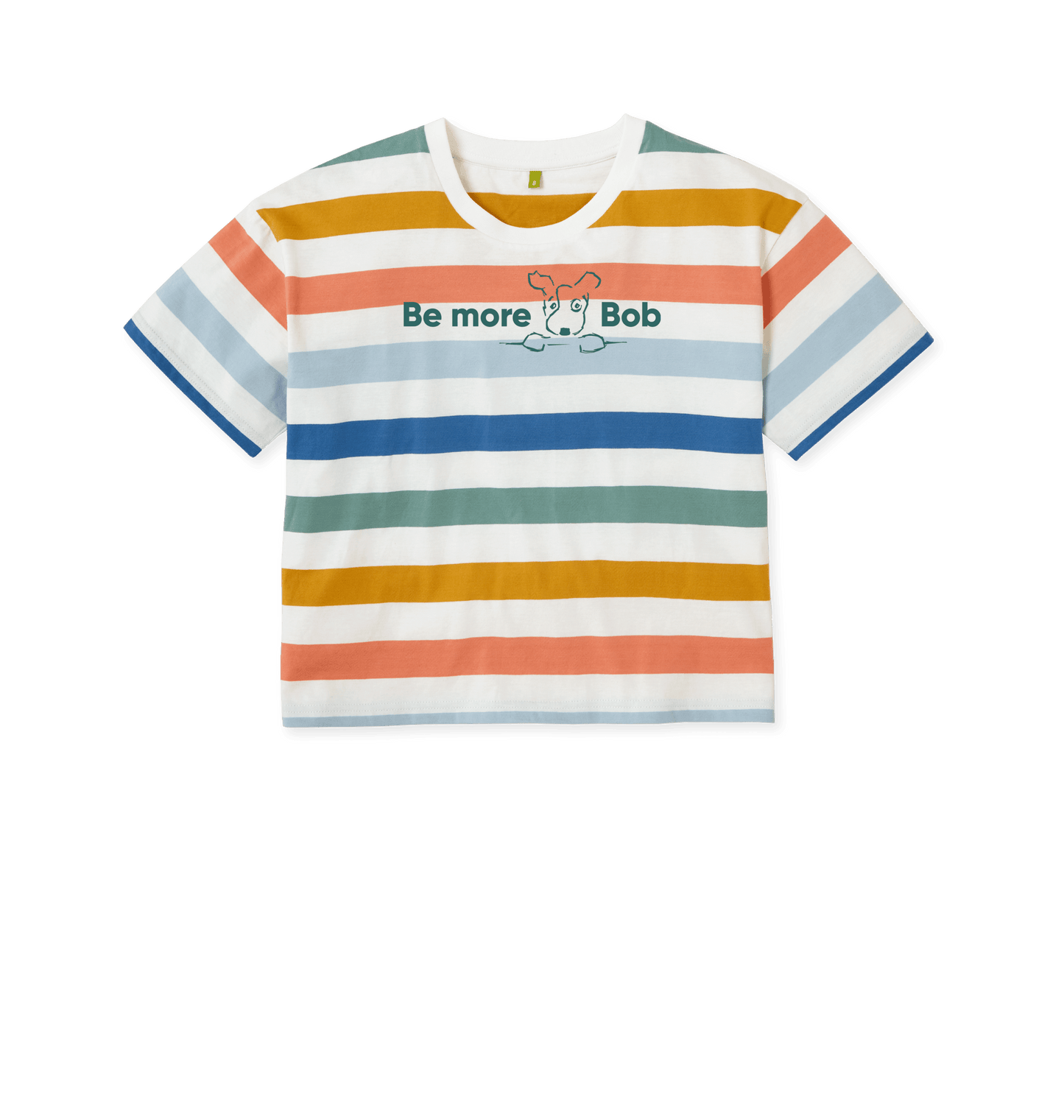 Multicolour Stripes Printed T-shirt Front