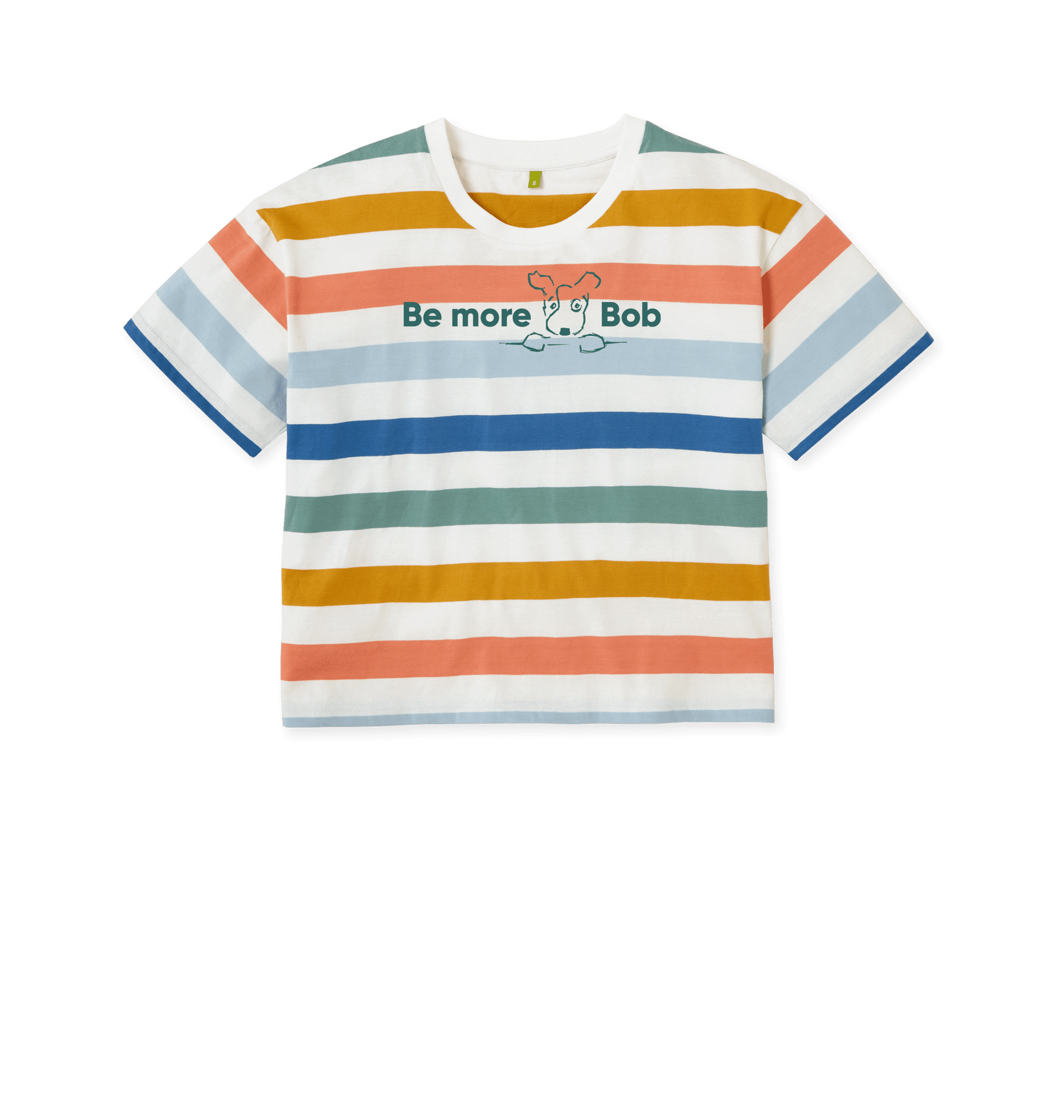Multicolour Stripes Printed T-shirt Front