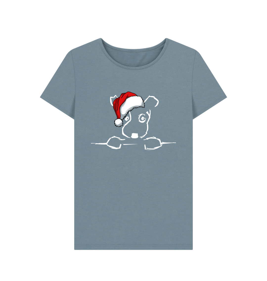 Stone Blue Printed T-shirt Front