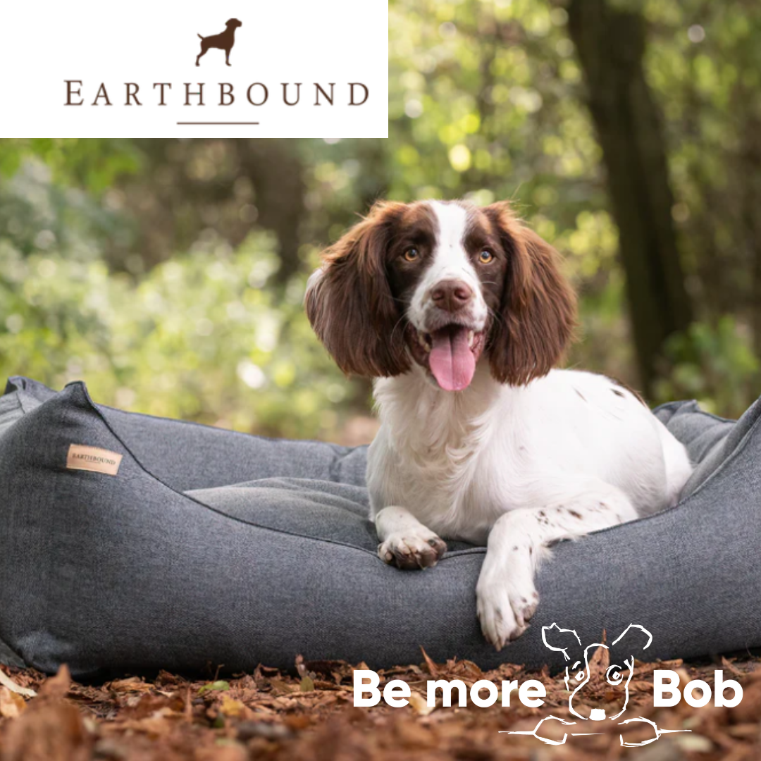 Earthbound rectangular dog store bed