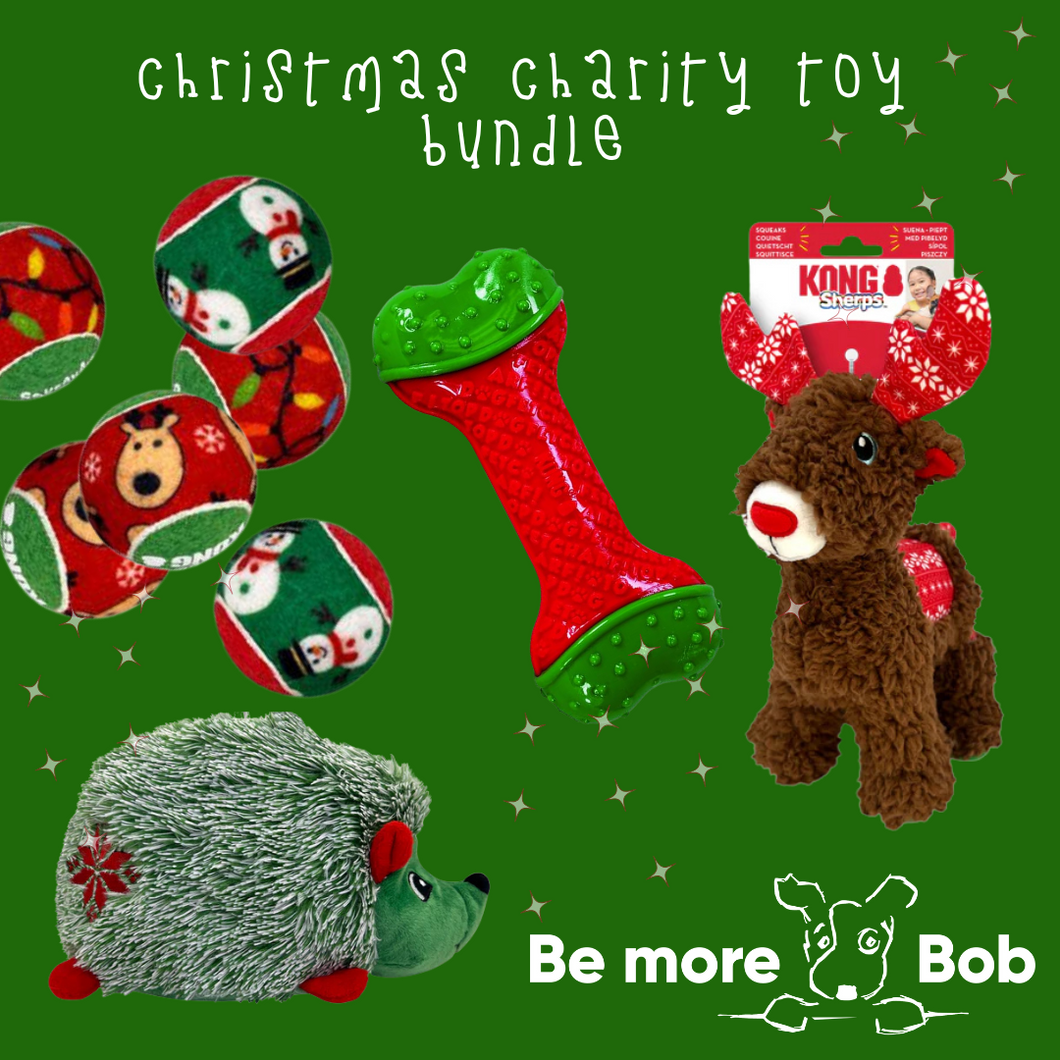 Christmas Charity Toy Bundle!