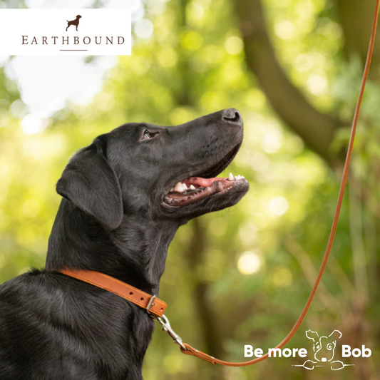 Soft Leather Collar - Tan - Earthbound