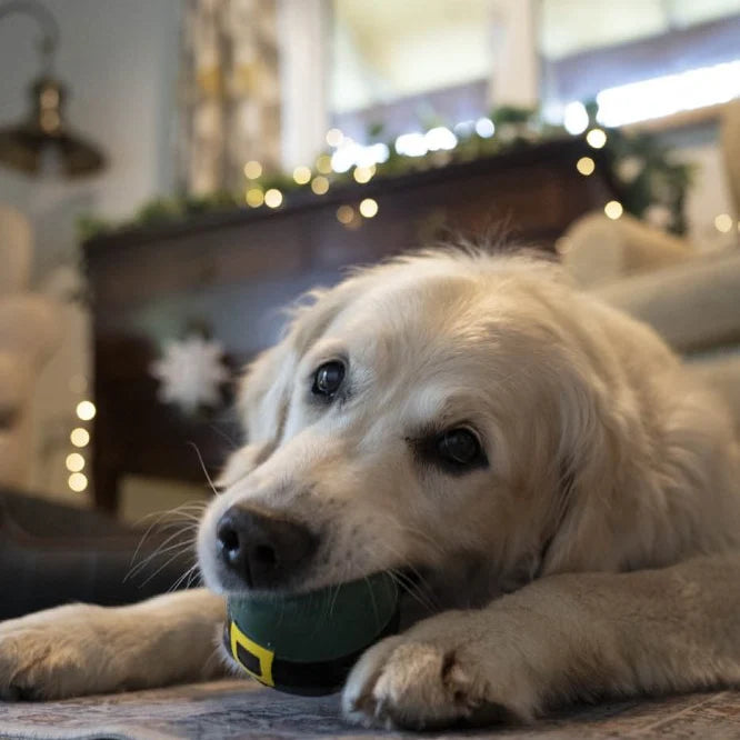 Petface Elf Bauble Ball Latex Christmas Dog Toy