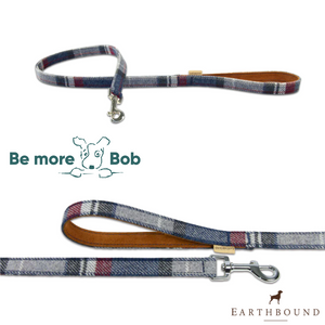 Earthbound Tweed Leash - Grey - last two available