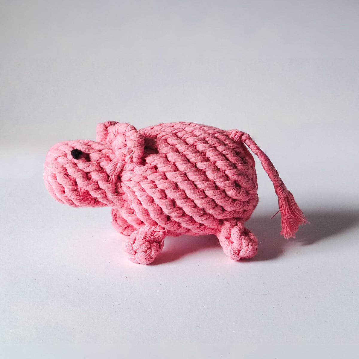 Little Pink Pig