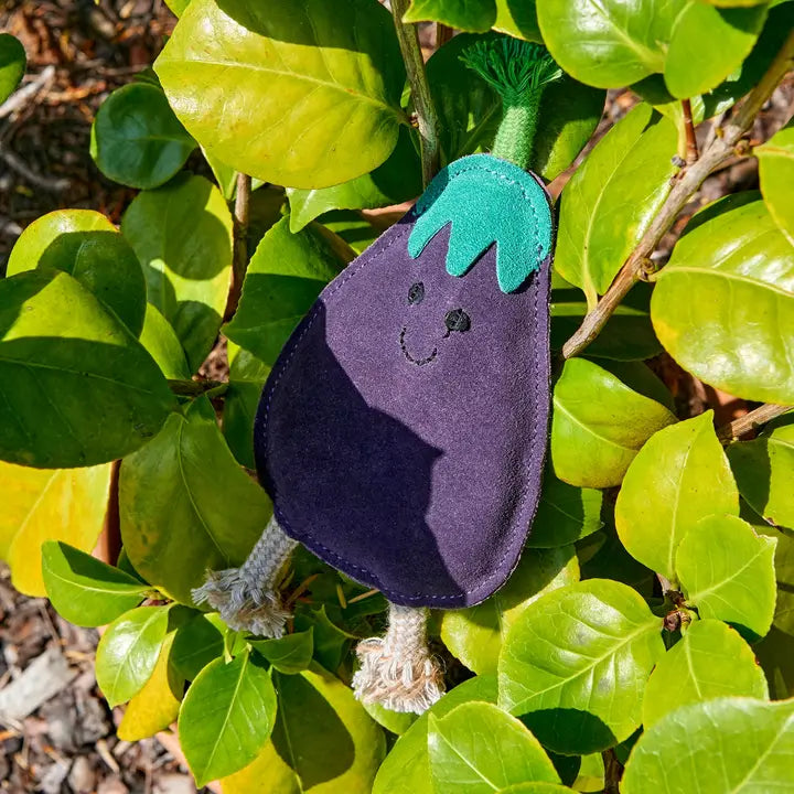 Austin Aubergine, Eco Toy, Green & Wilds